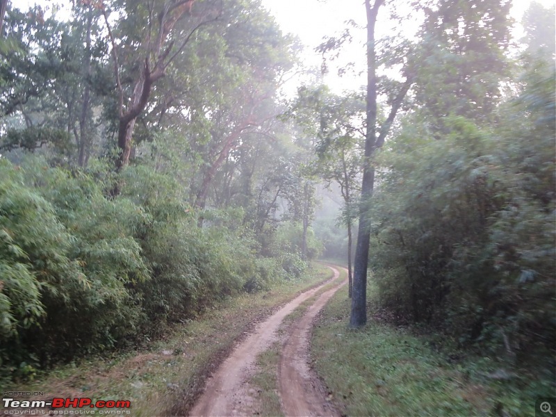 Photologue: Pench & Kanha National Park-4.jpg