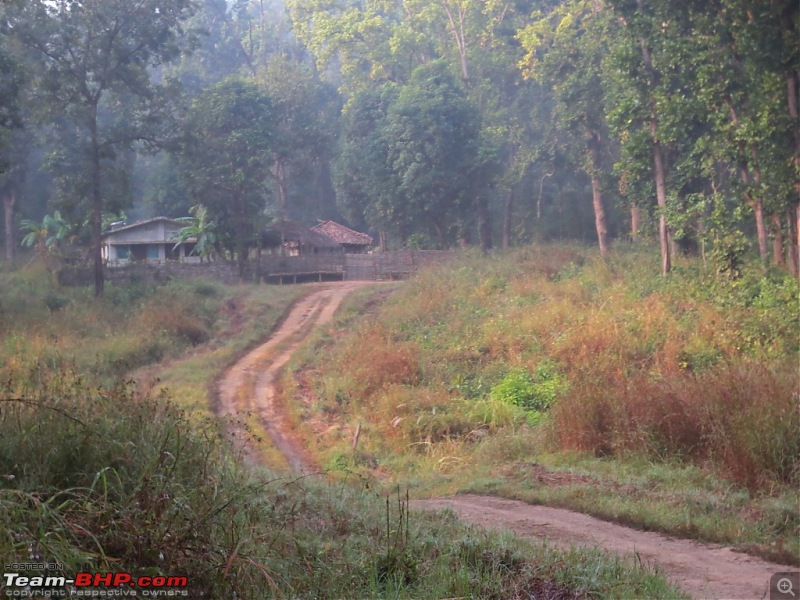 Photologue: Pench & Kanha National Park-7.jpg