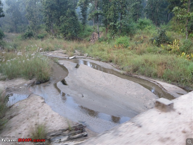 Photologue: Pench & Kanha National Park-25.jpg