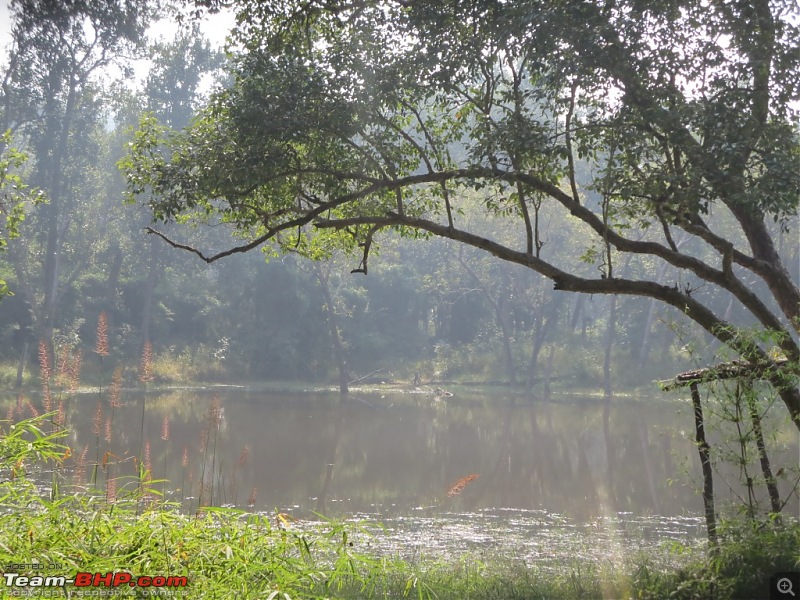 Photologue: Pench & Kanha National Park-6.jpg