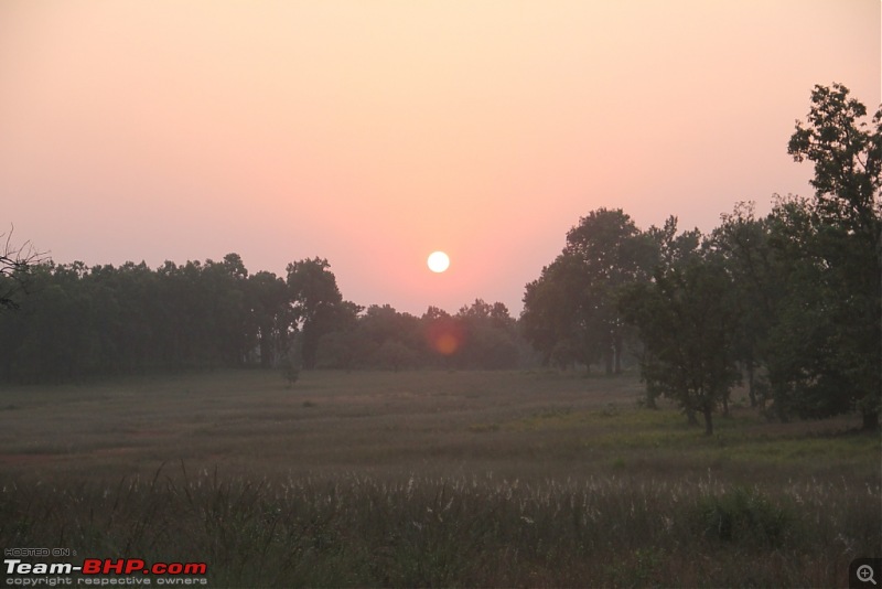 Photologue: Pench & Kanha National Park-15.jpg