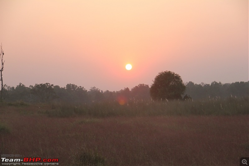 Photologue: Pench & Kanha National Park-16.jpg