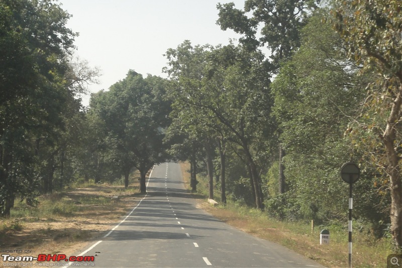 Photologue: Pench & Kanha National Park-dsc07582.jpg