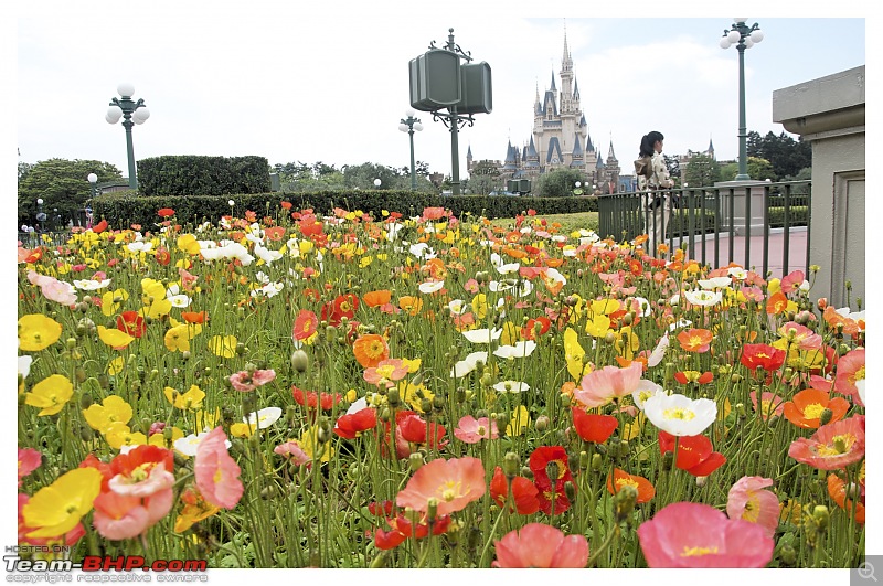 Land of The Rising Sun : Exploring Tokyo...in and around-_dsc0837-copy.jpg