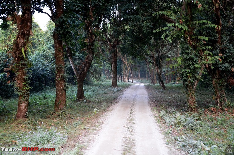 West Bengal - A treasure for tourists-dsc_6727.jpg
