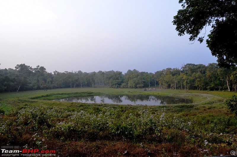 West Bengal - A treasure for tourists-dsc_6728.jpg