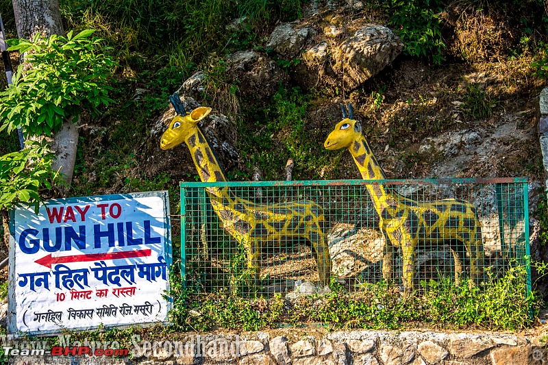 Road-trip: A taste of Himachal & Uttarakhand-dsc_0322.jpg