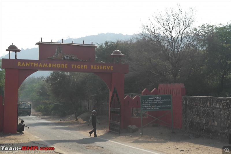 Maiden trip to the Ranthambore Tiger Reserve-rtr047.jpg
