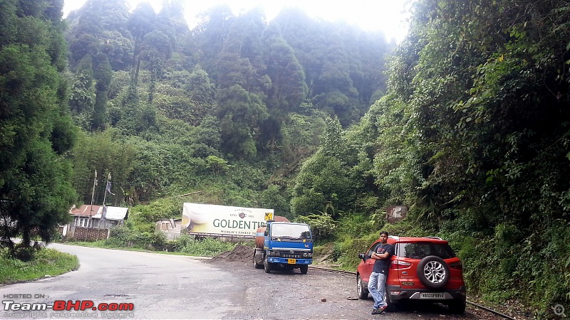 Darjeeling for Dummies-20150606_102802.jpg