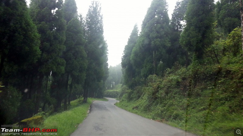 Darjeeling for Dummies-20150607_122236.jpg