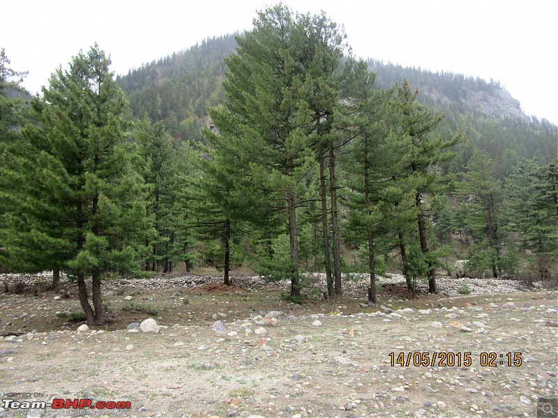 Summer sojourn to Kinnaur Valley-img_0309.jpg