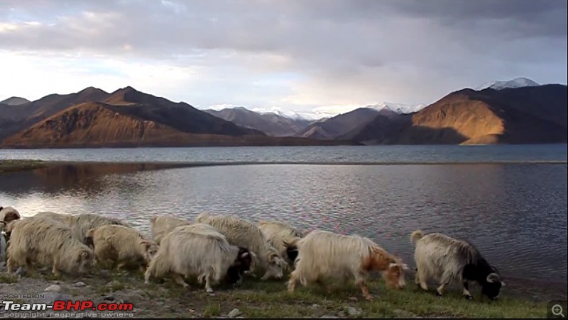 Reliving a memorable trip: 10 friends, Enfields & Leh!-dsc02485b.jpg