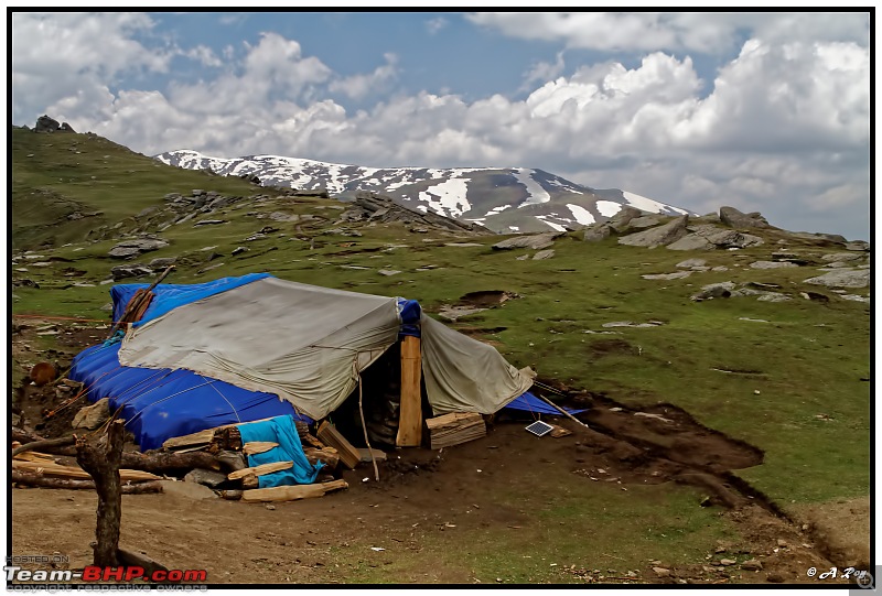 Lure of the Himalayas  Himachal beckons again!-187.jpg