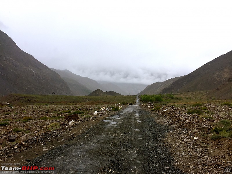 A Hatchback and an epic 2000 kms road-trip to Spiti-img_0228.jpg