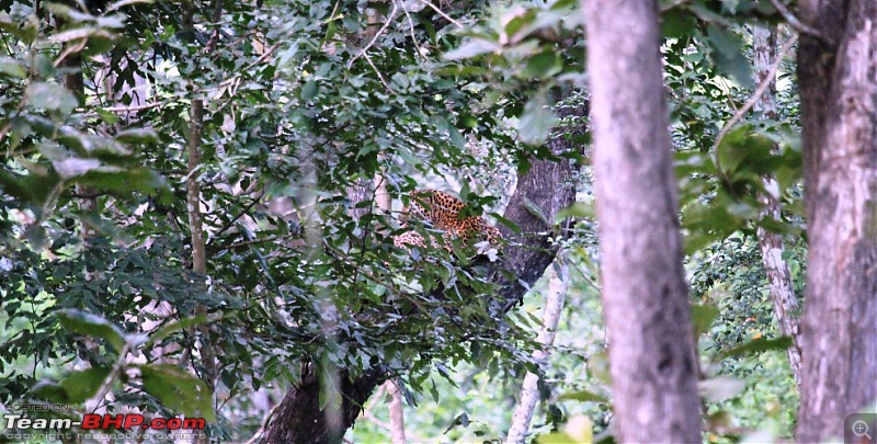 My Man Cave + A Close Encounter in Wayanad!-.8.jpg