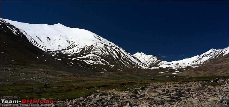 Catharsis of the soul: Ladakh!-2015061810h16m18dsc_1136.jpg