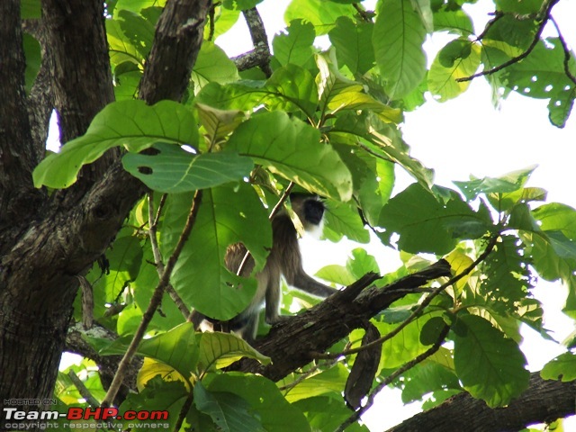 Chennai - Mahe (Chockly) - Wayanad: An exciting 4day 2000Kms Trip-dscf3228.jpg