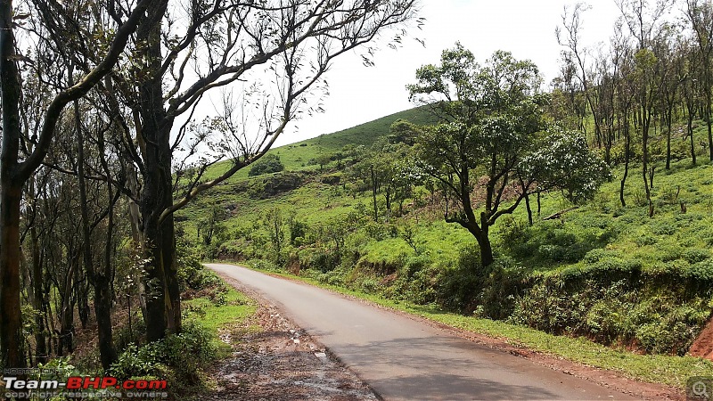 RD350 Diaries: Weekend Getaway to Muthodi (Karnataka)-6.-kemmanagudi-1-large.jpg