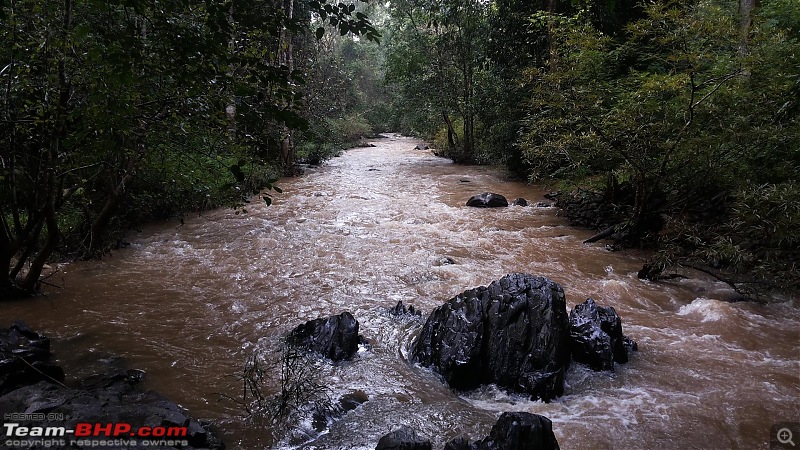 RD350 Diaries: Weekend Getaway to Muthodi (Karnataka)-7.-bhadra-wildlife-sanctuary-muthodi-19-large.jpg