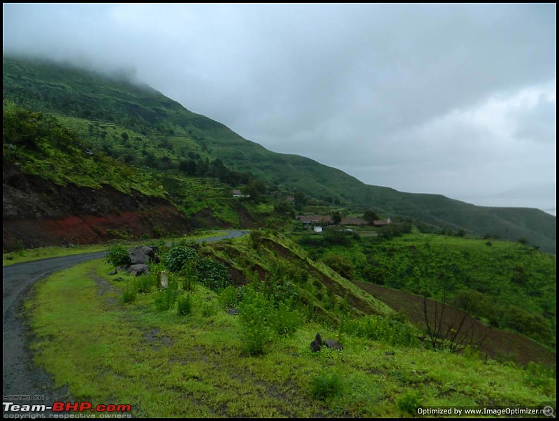 Chasing the Rains : Group drive from Bangalore to Panchgani (MH)-day2_41.jpg