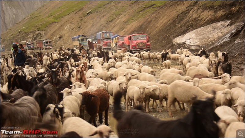 Catharsis of the soul: Ladakh!-2015062318h14m22dsc_1498.jpg