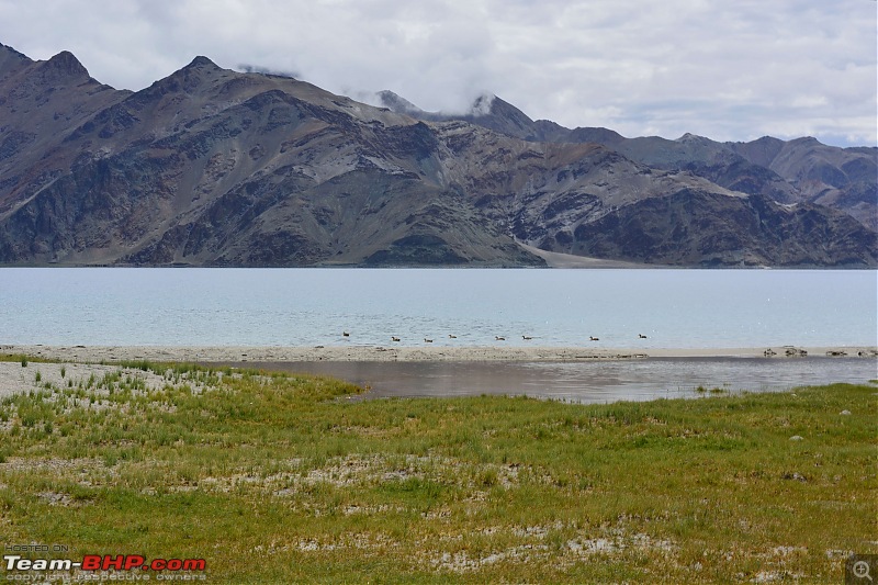 Ladakh: Yet another photologue-dsc_1314_058_388.jpg