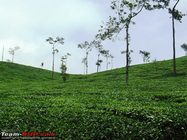 Chennai - Mahe (Chockly) - Wayanad: An exciting 4day 2000Kms Trip-dscf3333.jpg