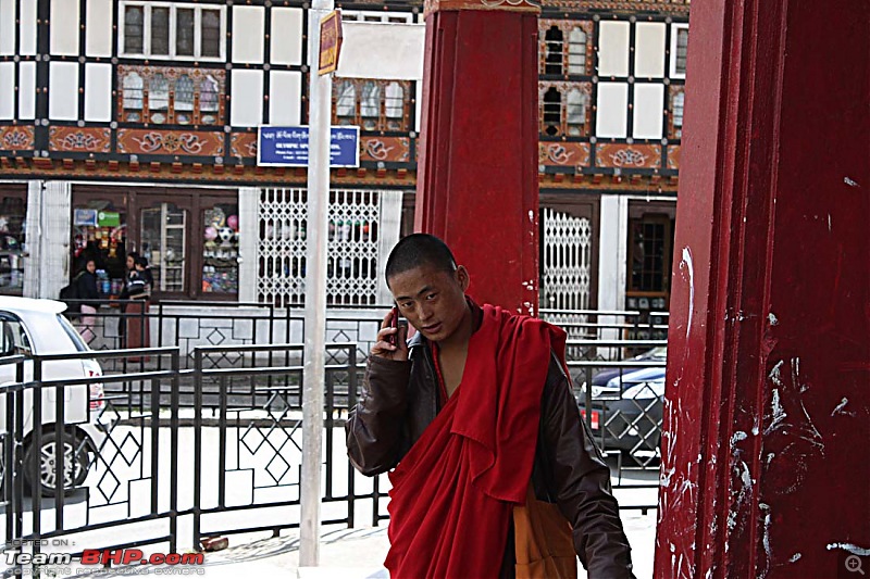Wet Bhutan and Green Dooars-lama.jpg