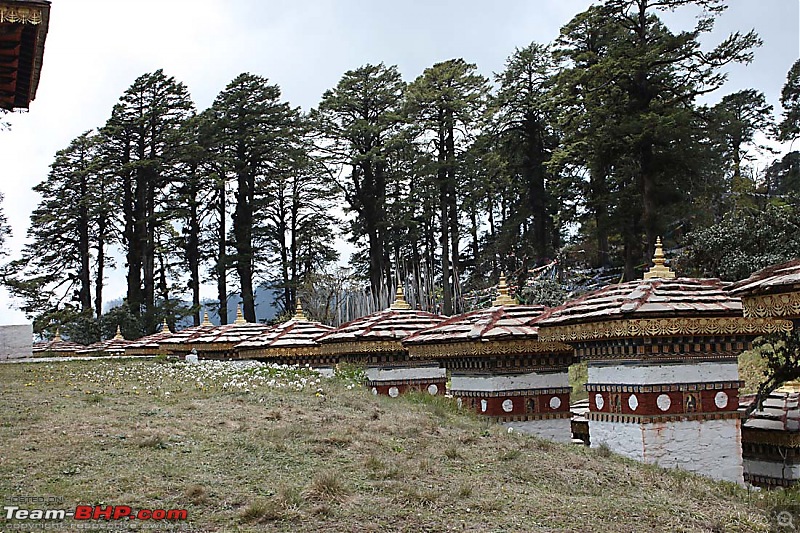 Wet Bhutan and Green Dooars-dochula3.jpg