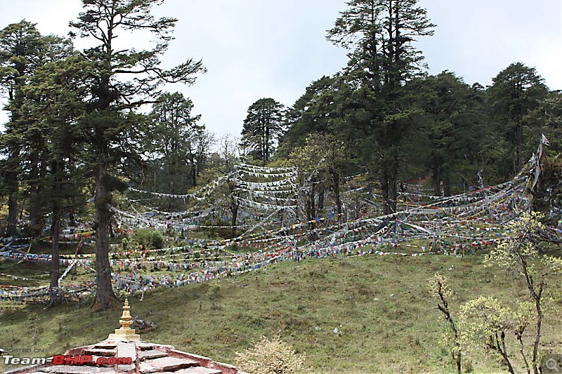Wet Bhutan and Green Dooars-dochula5.jpg