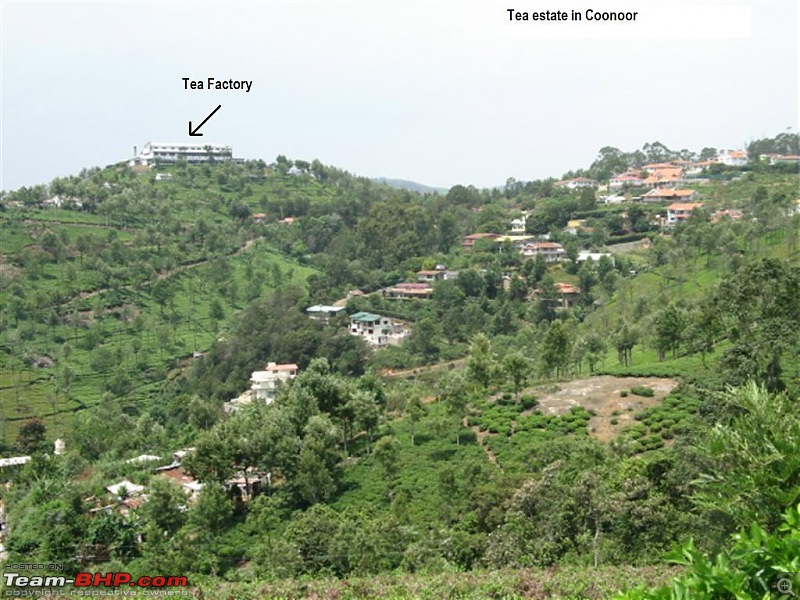 Ooty, Coonoor, Kotagiri, Isha Yoga Centre-From Bangalore-picture-206.jpg