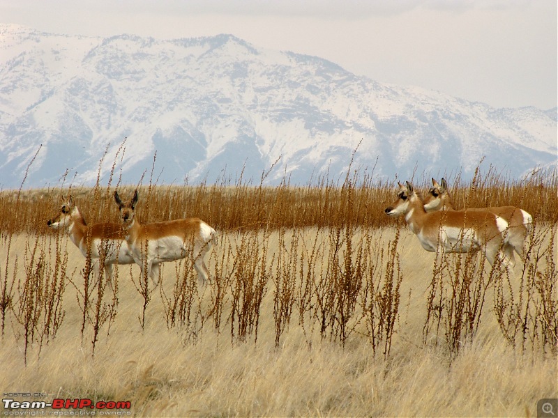 My Road-Trips around Salt Lake City, USA-43.jpg