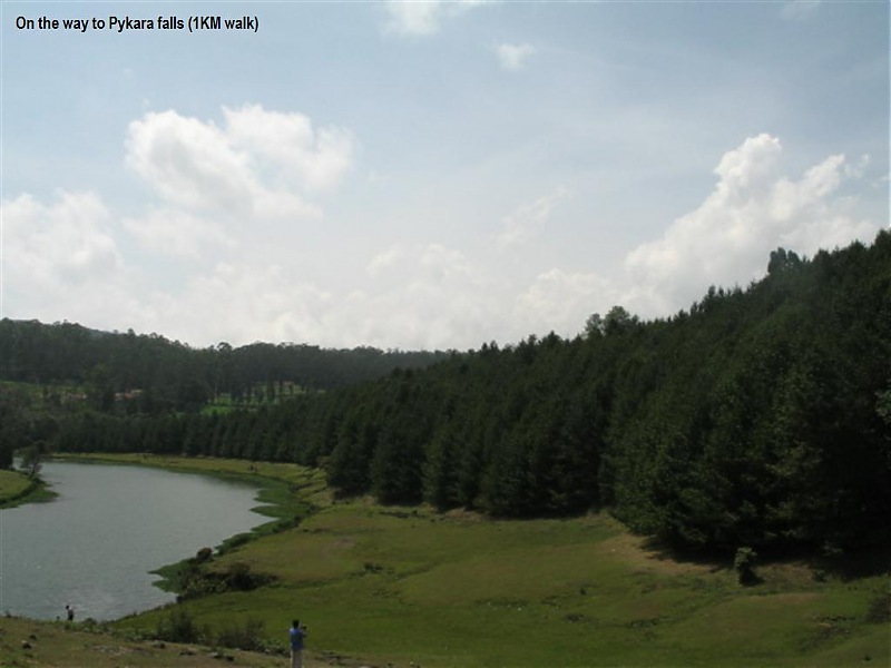 Ooty, Coonoor, Kotagiri, Isha Yoga Centre-From Bangalore-picture-658.jpg