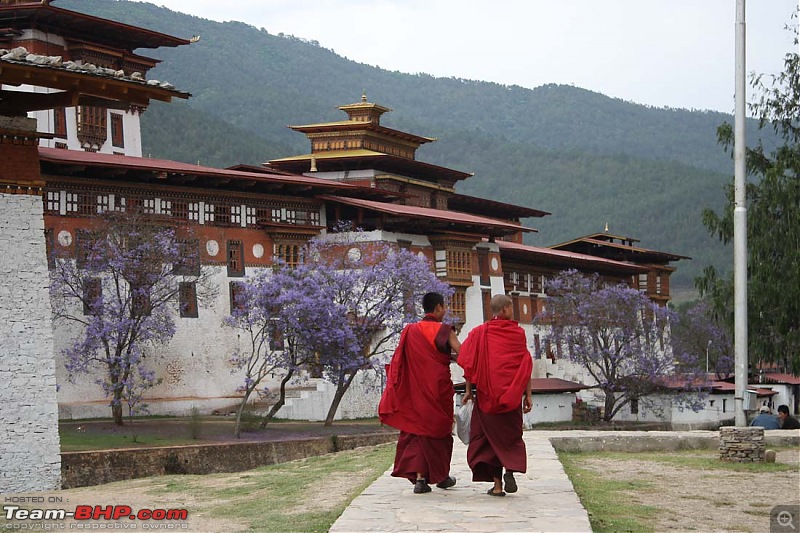 Wet Bhutan and Green Dooars-dzong1.jpg