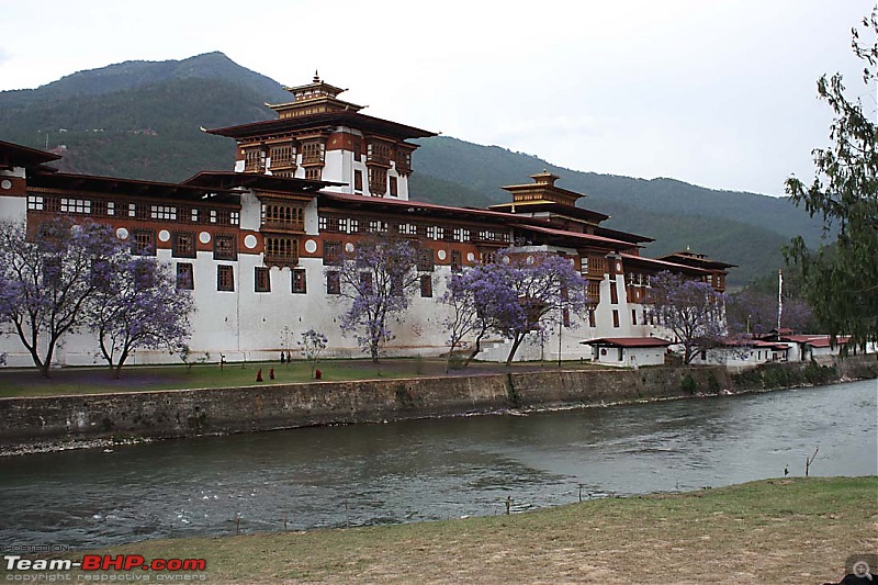 Wet Bhutan and Green Dooars-dzong2.jpg