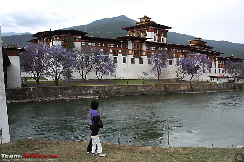 Wet Bhutan and Green Dooars-dzong3.jpg