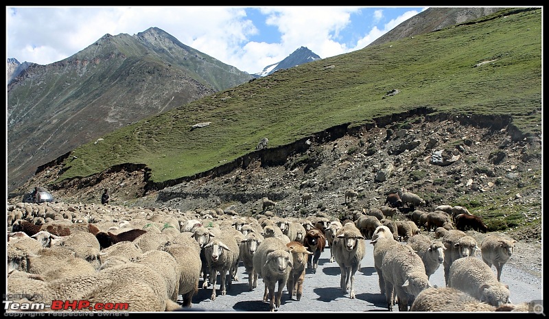 Polo GT TDI Chronicles: Ladakh and beyond! 5543 km, 13 days, 8 states, 2 souls & 1 car!-img_0820.jpg