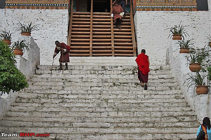 Wet Bhutan and Green Dooars-dzongstairs.jpg