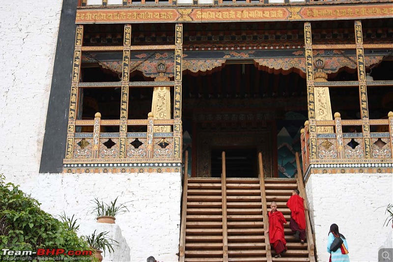 Wet Bhutan and Green Dooars-dzongladder.jpg