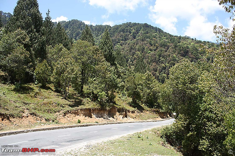 Wet Bhutan and Green Dooars-road1.jpg