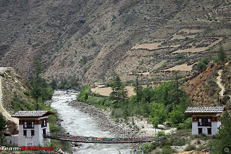 Wet Bhutan and Green Dooars-zam.jpg