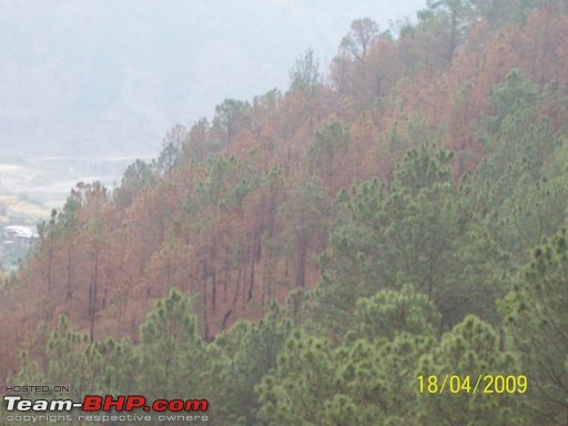 Wet Bhutan and Green Dooars-103_0720.jpg