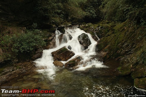 Wet Bhutan and Green Dooars-3490971513_0871a838a7.jpg
