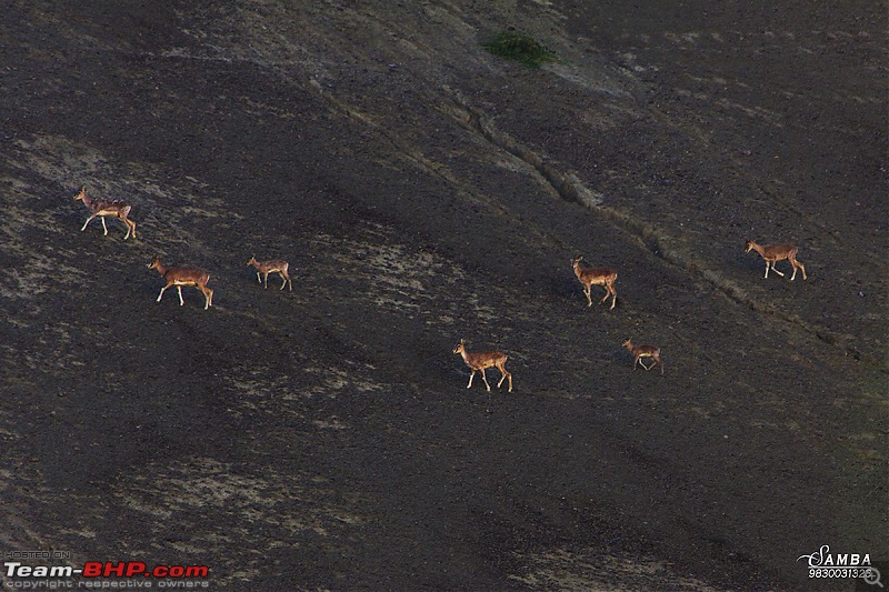 Sailed through the high passes in Hatchbacks, SUVs & a Sedan - Our Ladakh chapter from Kolkata-img_7452.jpg