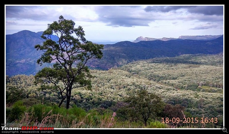 1100 km, 2 days, 4 men: An Endurance Ride to the Mesmerising Valparai!-12036405_1185342874812368_842369631868252077_n.jpg