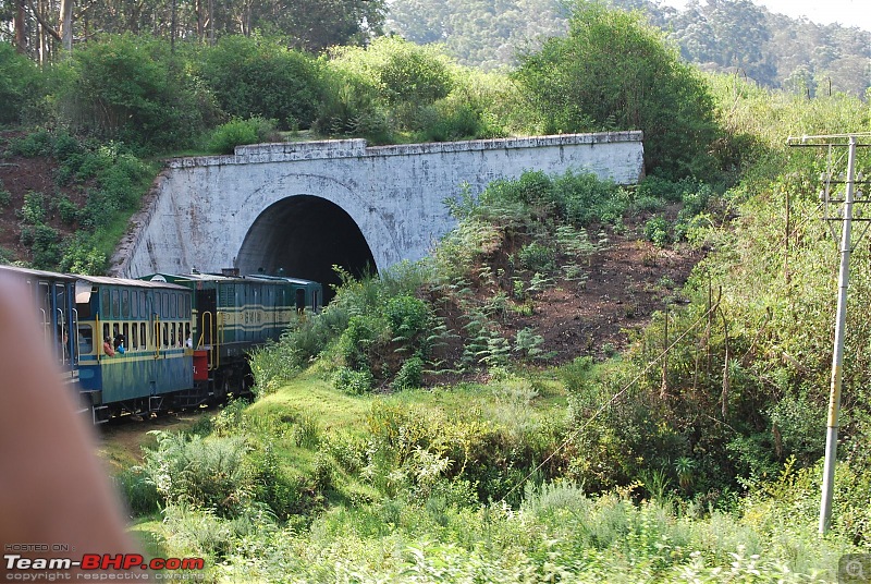Another Trip Report to Ooty!-dsc_1367.jpg