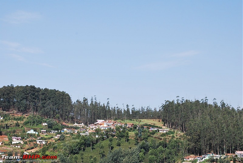 Another Trip Report to Ooty!-dsc_1384.jpg