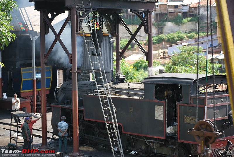 Another Trip Report to Ooty!-dsc_1461.jpg