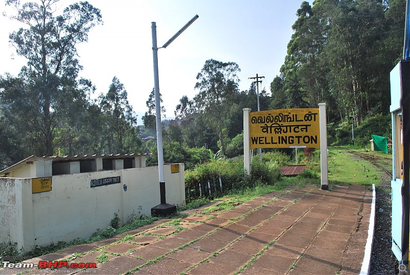 Another Trip Report to Ooty!-dsc_1633.jpg