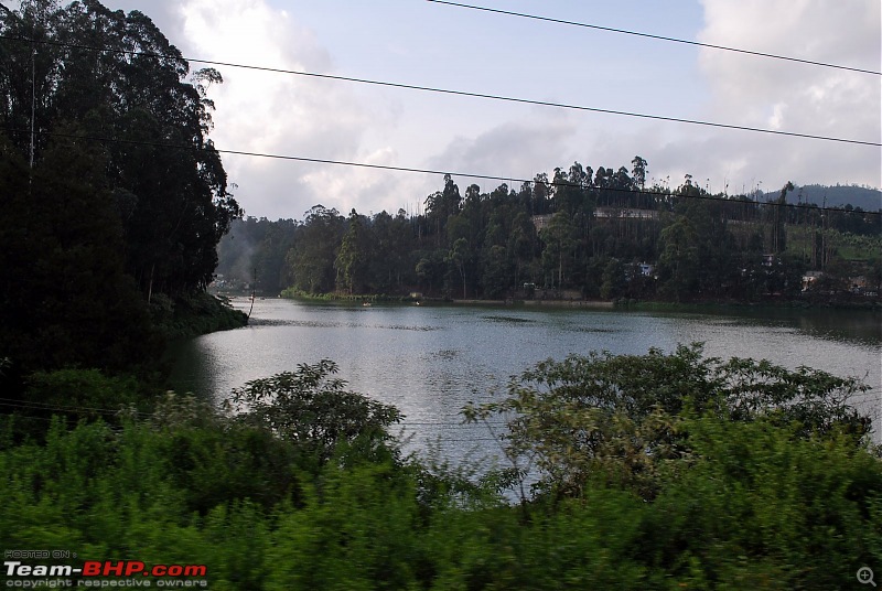 Another Trip Report to Ooty!-dsc_1704.jpg